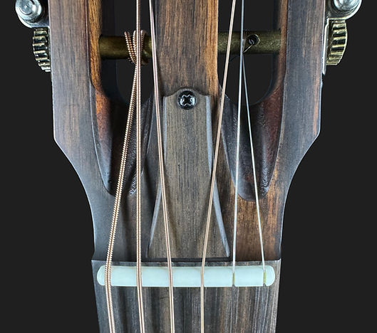 BAR6H-trussrod-cover.jpg