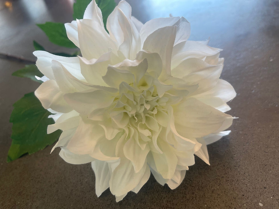 Thumbnail: White Dahlia