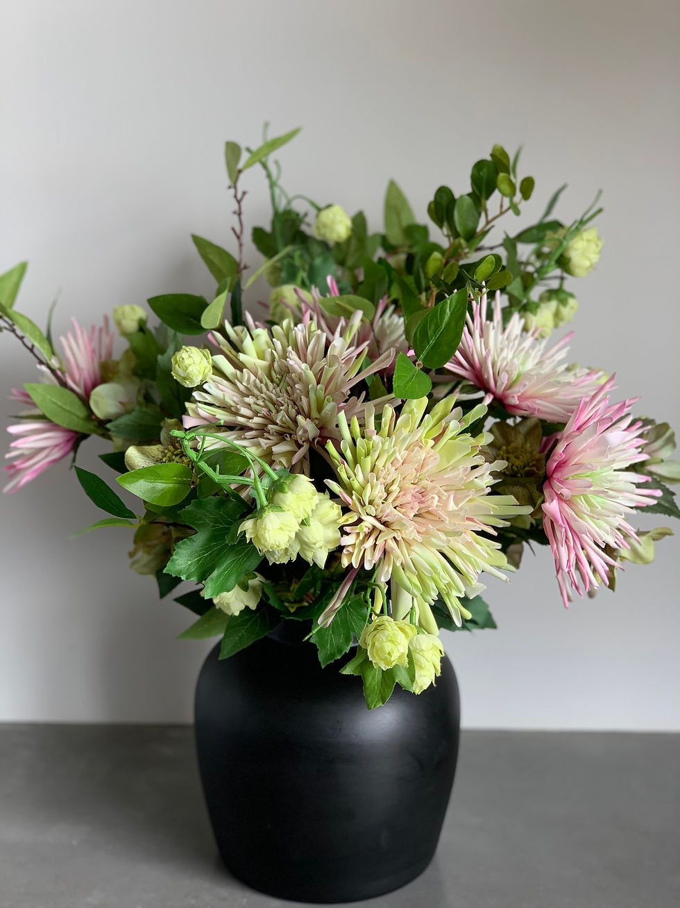 Thumbnail: Chrysant