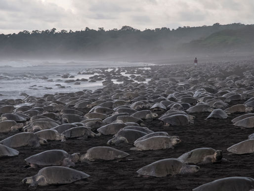 El Refugio: Más allá de la playa