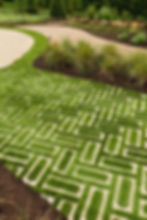 Eco Pavers | Permeable Pavers | Sustainable Nosara | Nosara Costa Rica | Sustainable Living | Adoquines ecológicos | Adoquines permeables | Nosara Sostenible | NosaraCosta Rica | Vida Sostenible