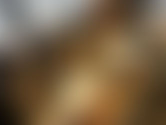 Explore NYC: Ole and Steen