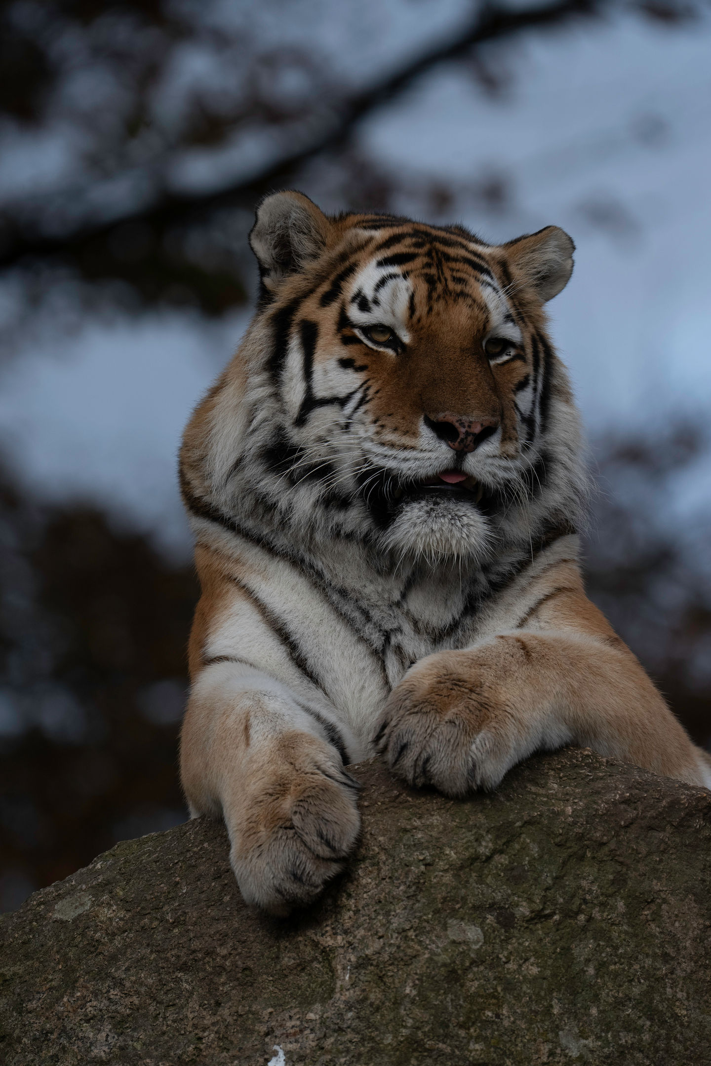 DSC_0044_1-Edit