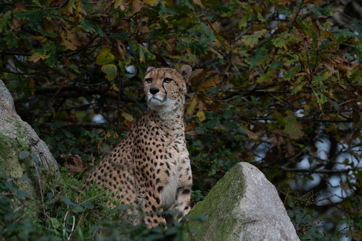 DSC_0076-1-Edit