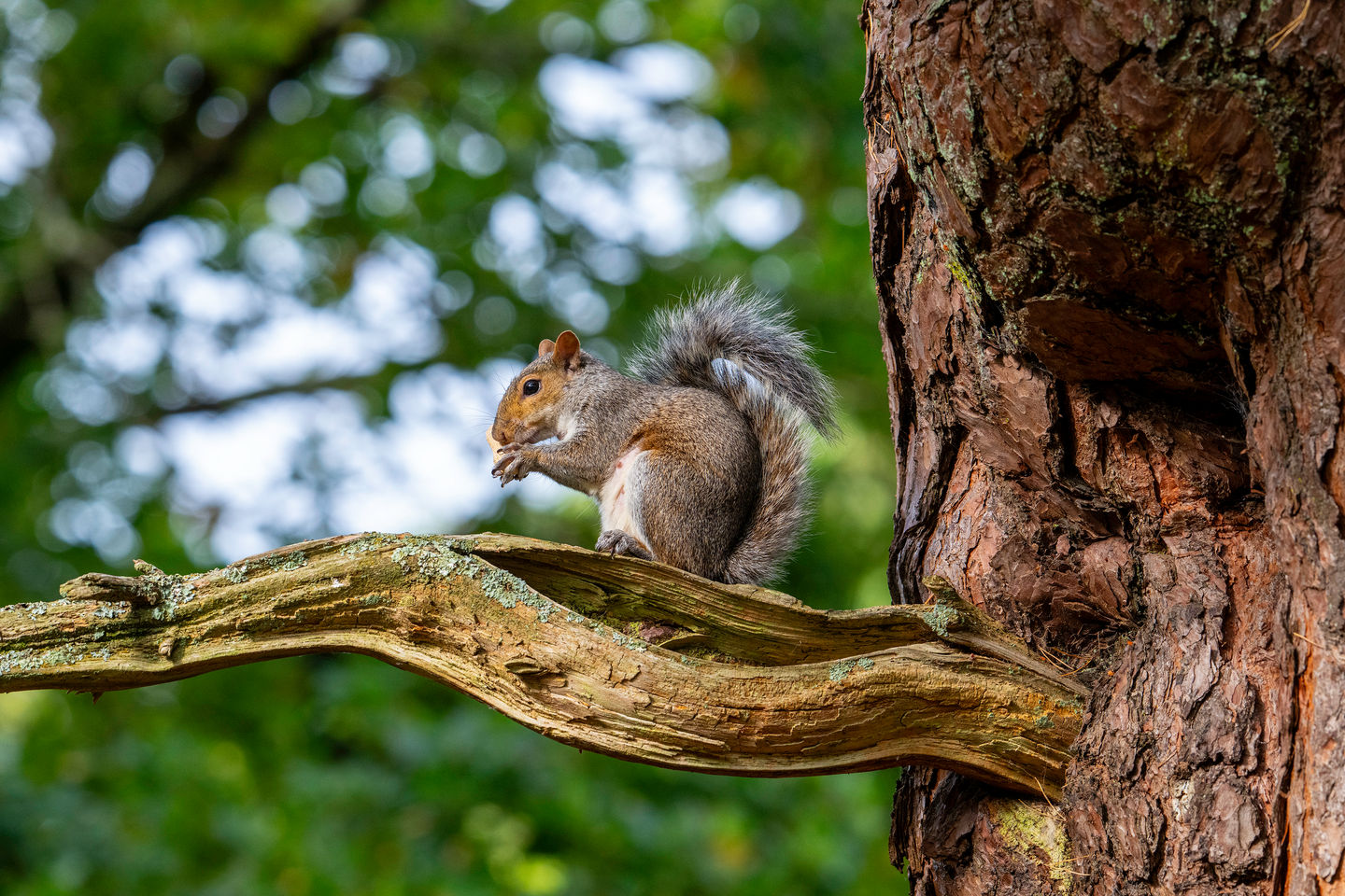 DSC_3910-Edit