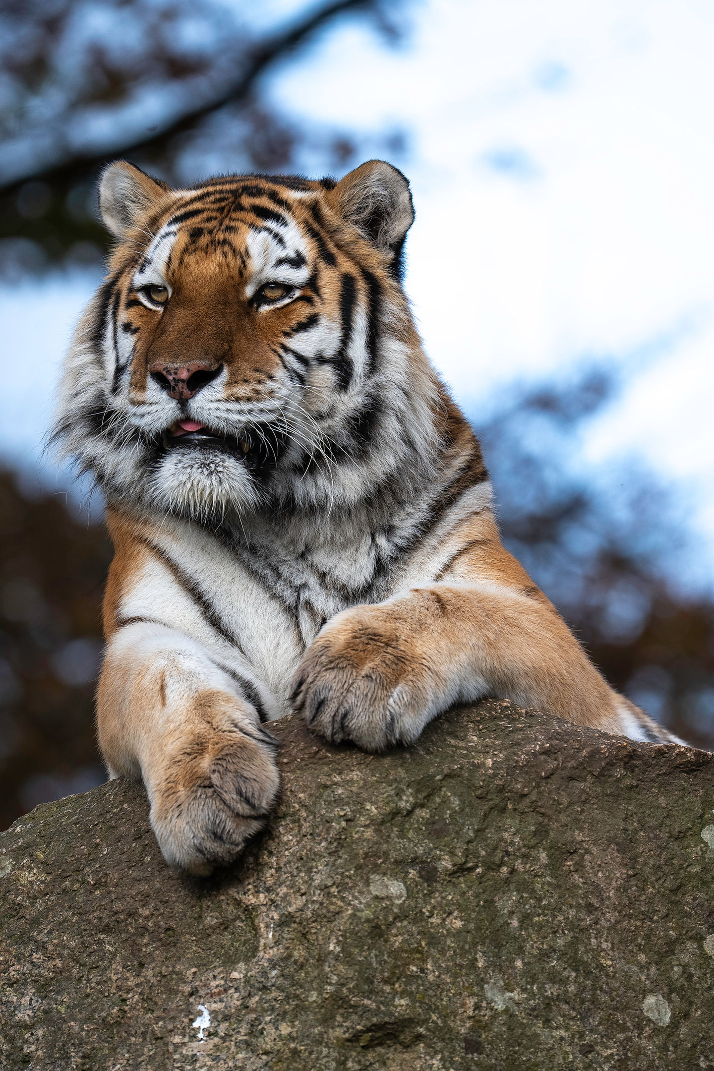 DSC_0043_1-Edit