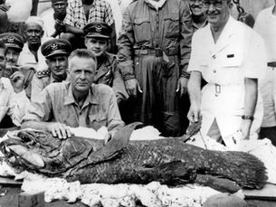 JLB    Smith    and    the    Coelacanth
