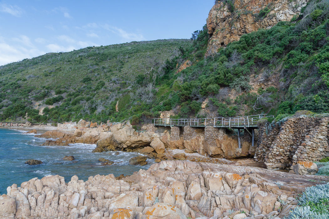 Coastal boardwalk for Eco Experiences in nature at Knysna.