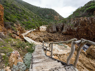 Revisiting the Featherbed Nature Reserve Story