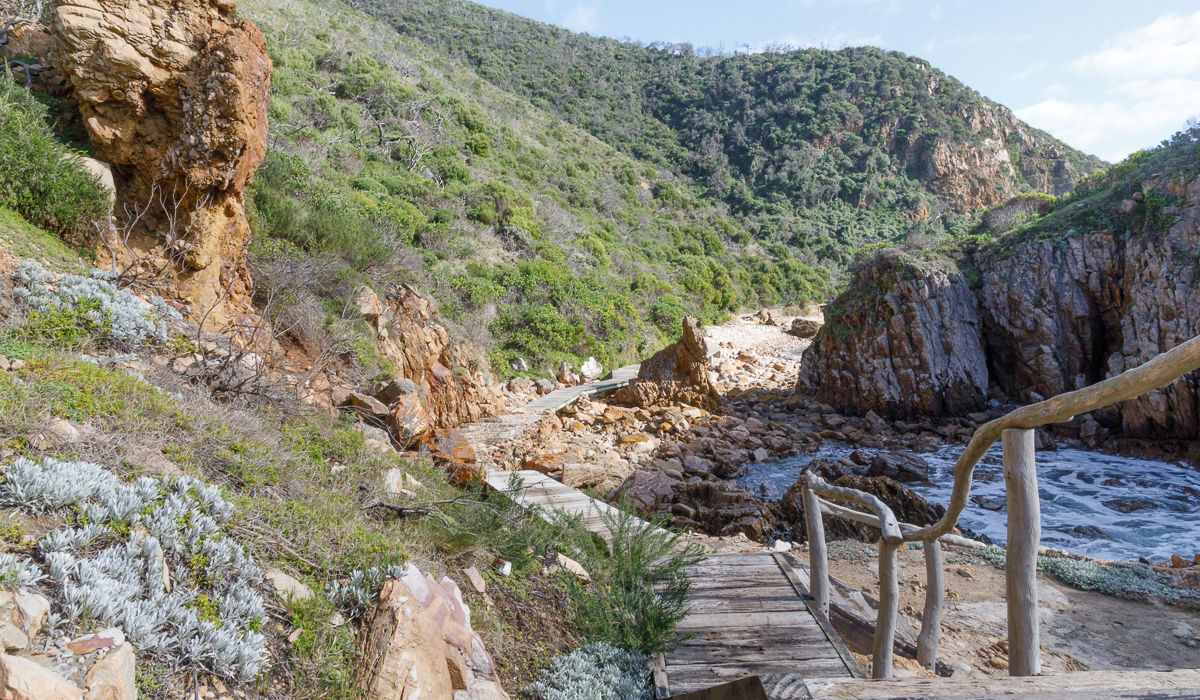 Coastal walkway for Featherbed Co Eco Experiences in Knysna