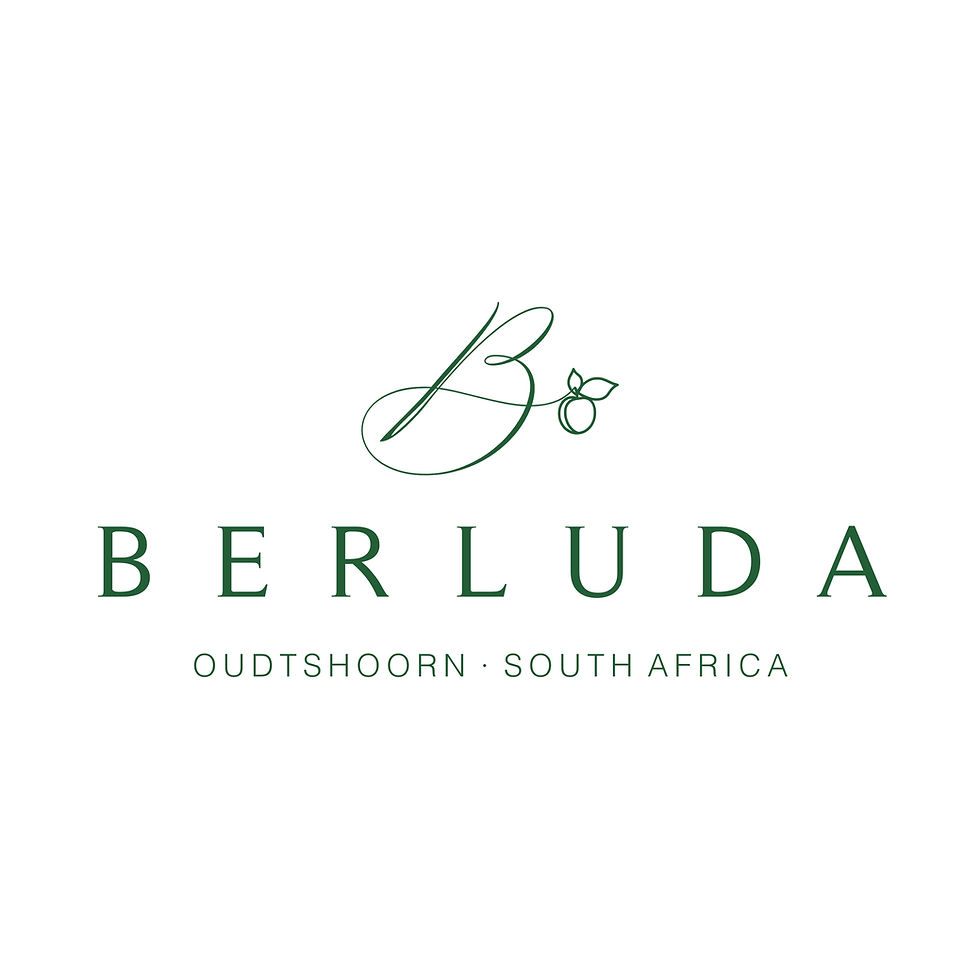 Berluda logo - Finals-square - white.jpg