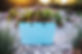 _q3a4479_hinza_webb_large.jpg
