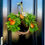 Thumbnail: Christmas Wreath -asymmetrical half-with magnolia
