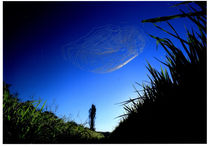 特選 天空の罠 山上 善雄