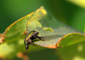 課 題4_のぞき見　小森　治之.JPG