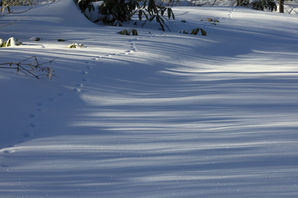 課 題21_朝日に煌めく　碇　誠.JPG