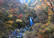 課 題14_渓谷の秋　小森　治之.JPG