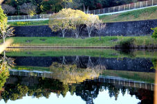 課 題19_初秋を映す　宮下　尚禧.jpg