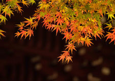 課 題17_秋色　坂部　昌也.jpg