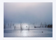 課 題13_沼　目覚めの頃　国広　妙子.jpg