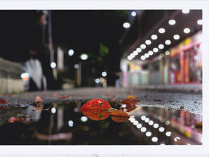 課 題7_濡れ落ち葉　国広　妙子.jpg