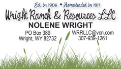 Nolene Wright.jpeg