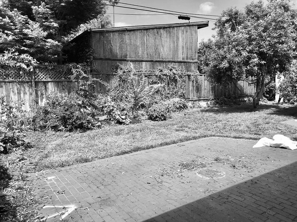 San Jose landscape design before photo