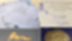 Foiling montage.jpg