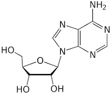 Adenosine, >98%