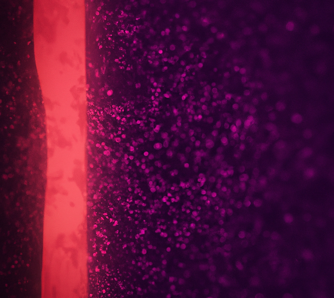 duplicated_1_duplicated_2_iStock-1470900675 [Converted] (1).png