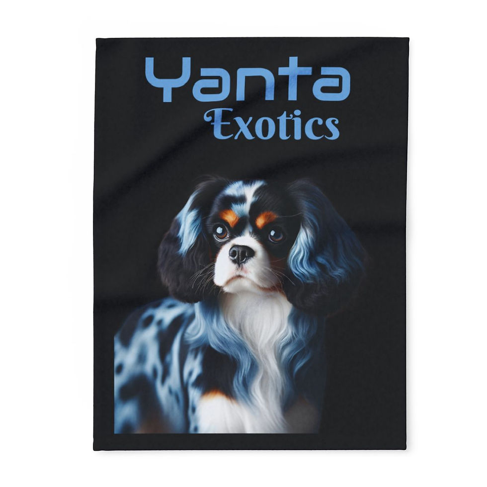 Thumbnail: Blue Merle Pup Blanket
