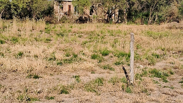 terrenos en venta Mina Clavero
