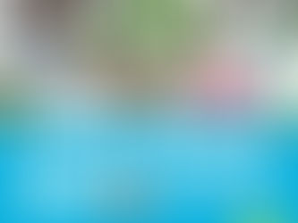 撮影を担当したHANAZONO EXPOのイメージ映像が出来上がりました