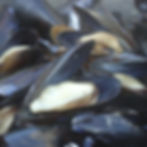 Thumbnail: Cioppino Box w/Crab