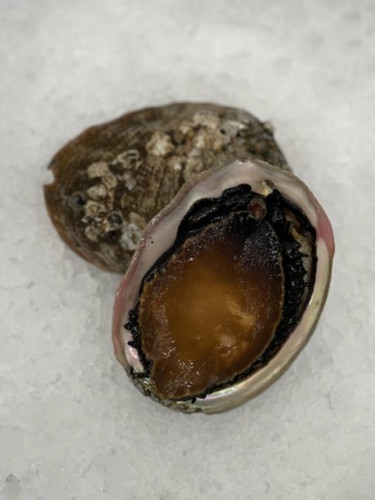 Abalone - 2 pieces | Mt. Lassen Seafood