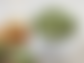 Creamy Spinach and Shrimp Dip