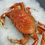 Thumbnail: Whole, Fresh Cooked Dungeness Crab