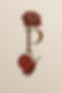 Peonyandpapillion.png