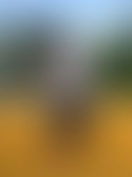 ABOUT ME. Amy (@ancc__)