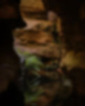 18089292280467215.jpg