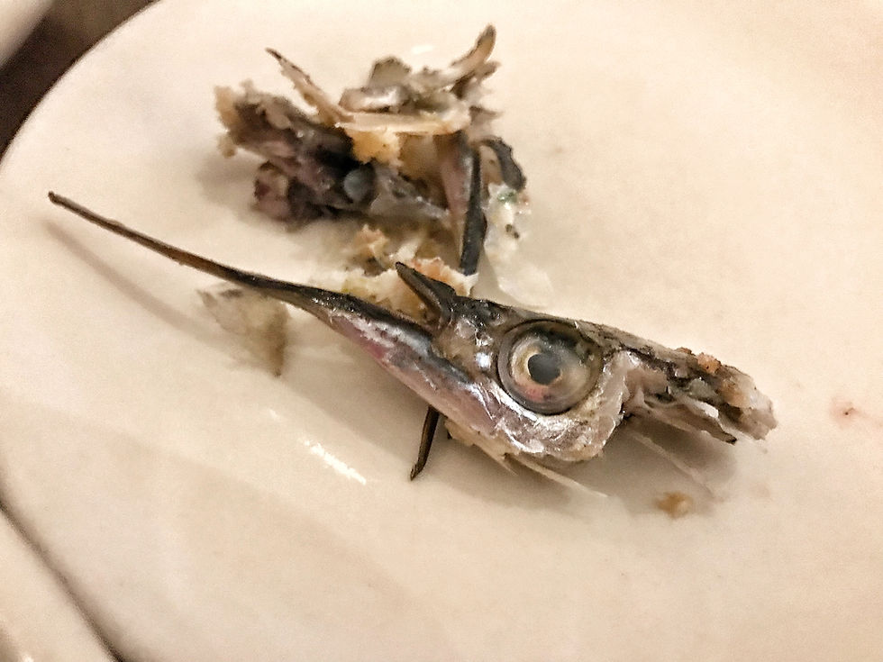 clovar-creative-saint-peter-paddington-fish-heads