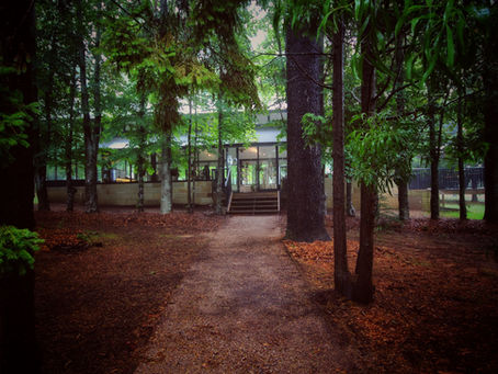 Sorensen's Glasshouse & Gardens | Leura | Blue Mountains | NSW