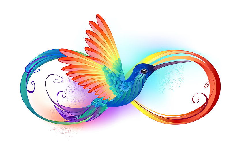 Rainbow bird in infinity symbol.jpeg