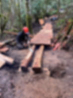 The artist with his paintbrush.