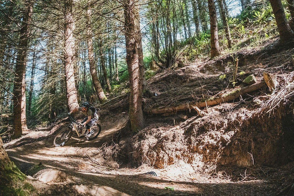 Turkey Tail drops into the woods with a series of straightaways, followed by 180-degree switchbacks. Photo by Paul Kalifatidi