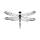 the holistic dragonfly matlock