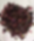 IMG_0314_edited.png