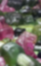 IMG_0151_edited.png