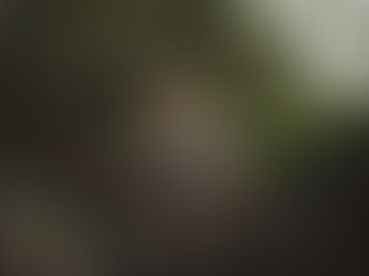 EARTHCHAT: Our children are the future stewards of the Earth