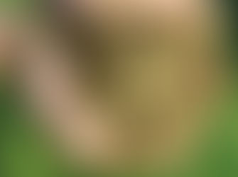 EARTHCHAT: Regenerative farming and gardening, healthy soil